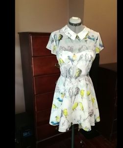 Ted Baker Dress (Ted Baker size 2)